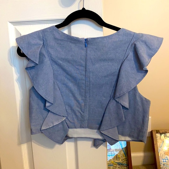 Viva Aviva Silk Organza ruffle top - Picture 2 of 5